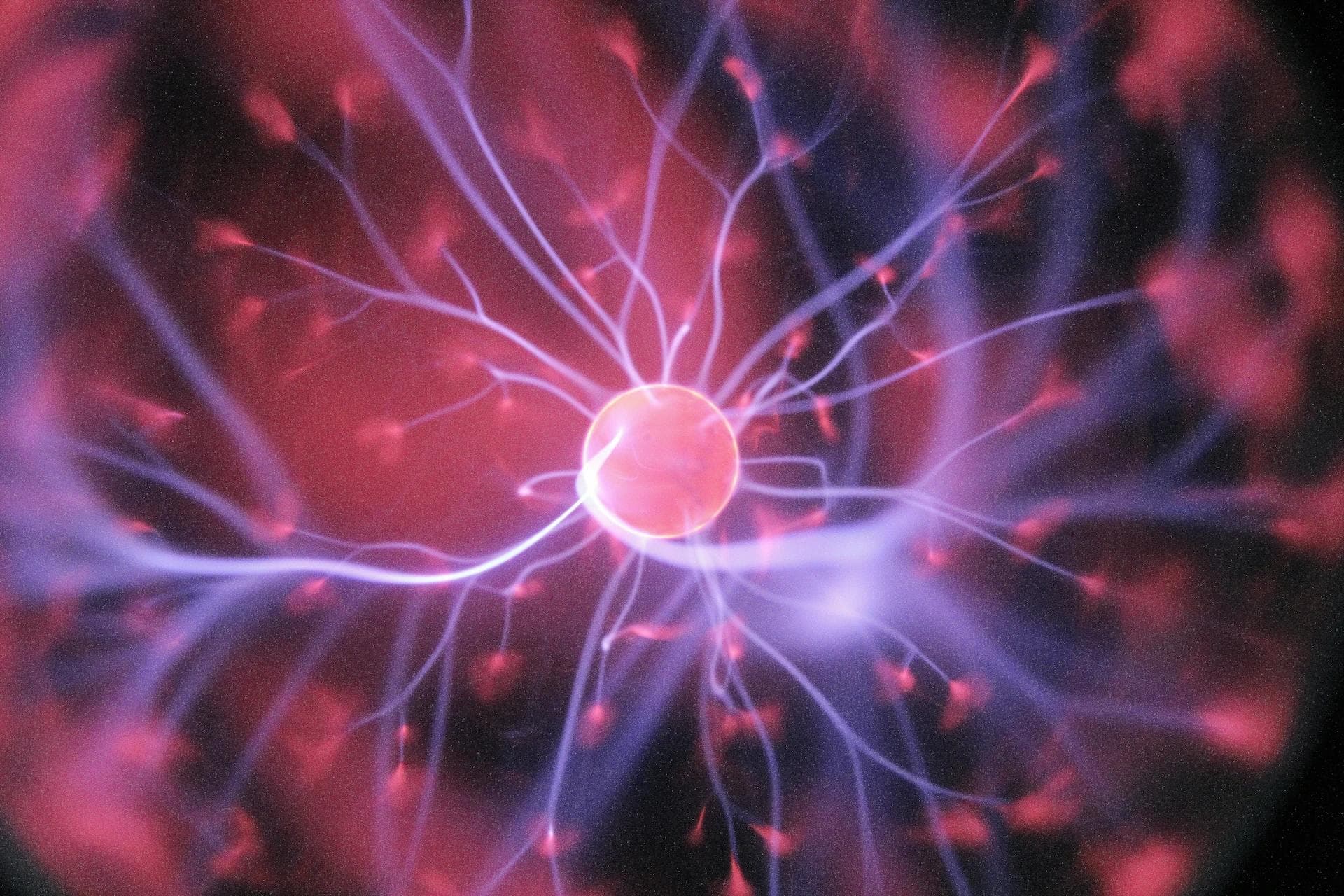 3D render of neural network in the brain